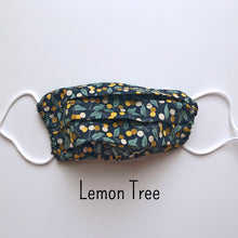 Load image into Gallery viewer, Adult Mask